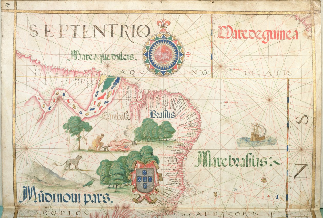 Amazonas mun, Brasilien, detalj från en världsatlas, 1565 av Diego Homem