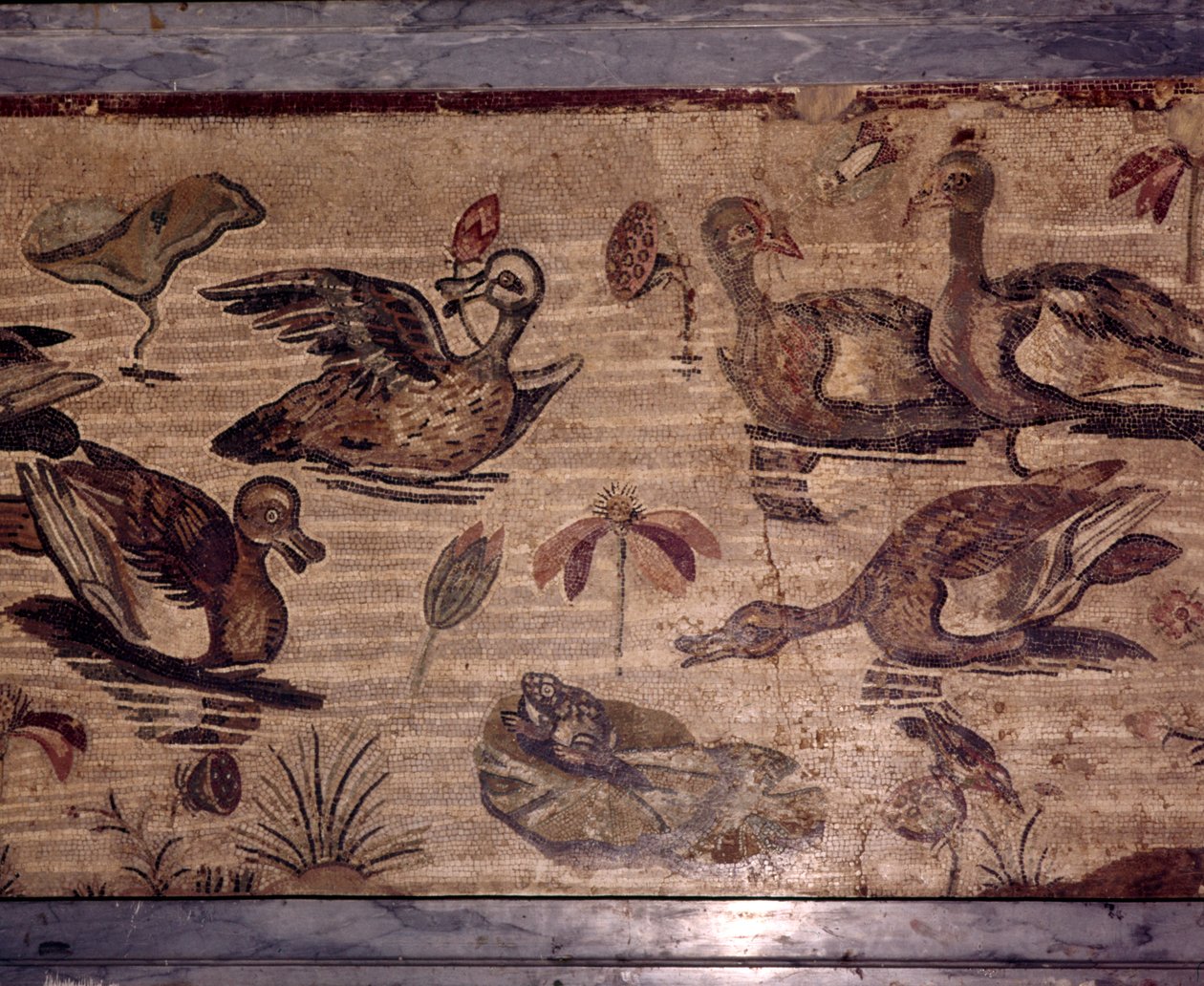 Romersk mosaik från Pompeji av ankor och grodor i en vattenträdgård, 1:a århundradet av Dioscurides of Samos