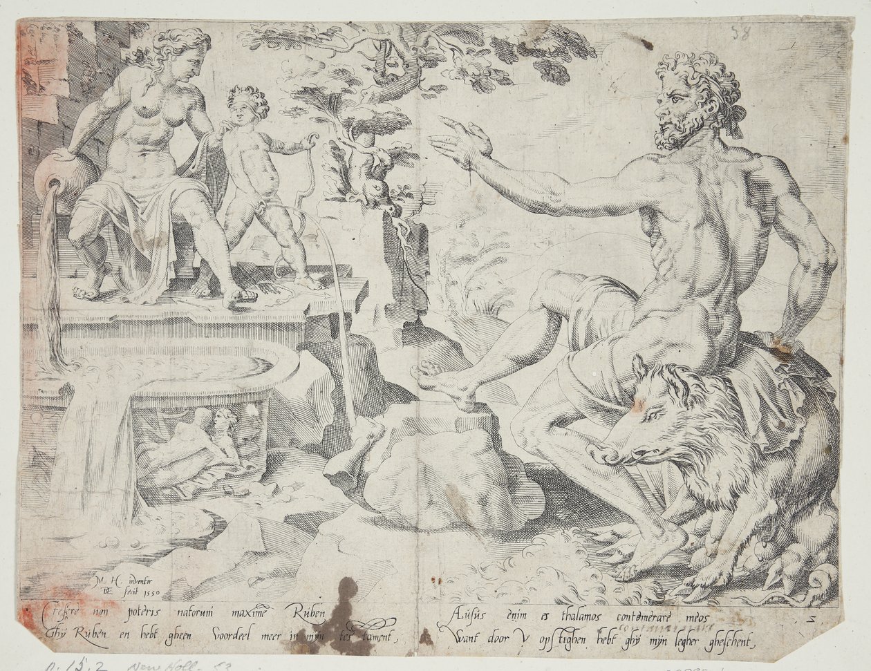 Ruben av Dirck Volckertsz. Coornhert