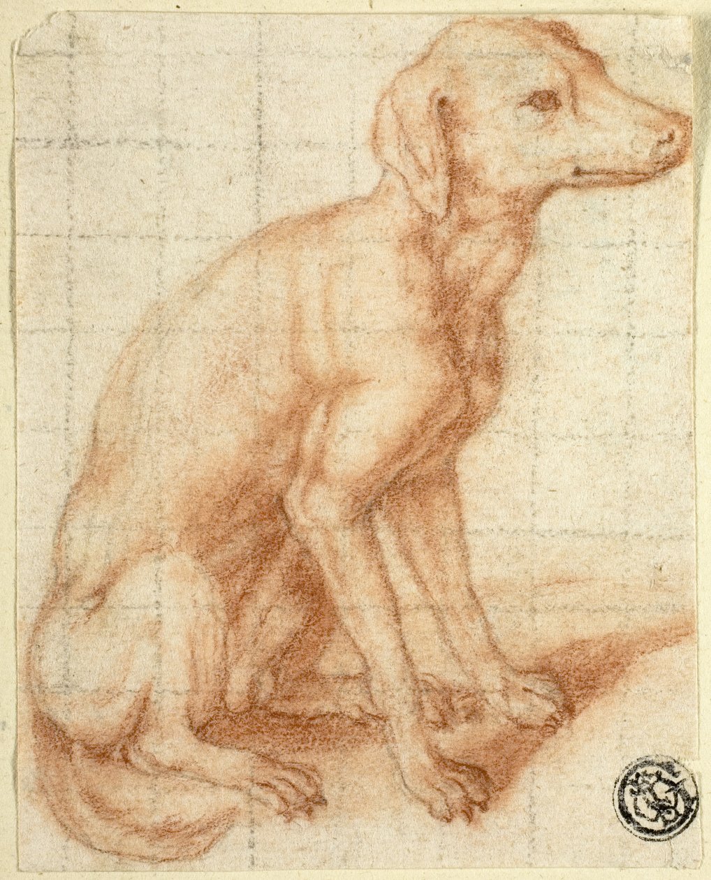 Retriever av Dirk Valkenburg