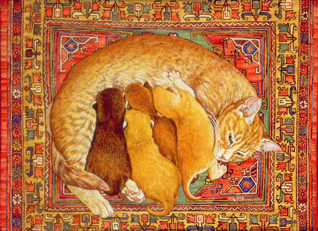 Matta-Kattungar av Ditz