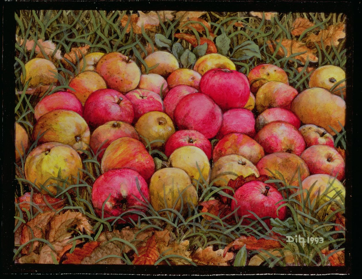Durnitzhofer äpplen, 1993 av Ditz