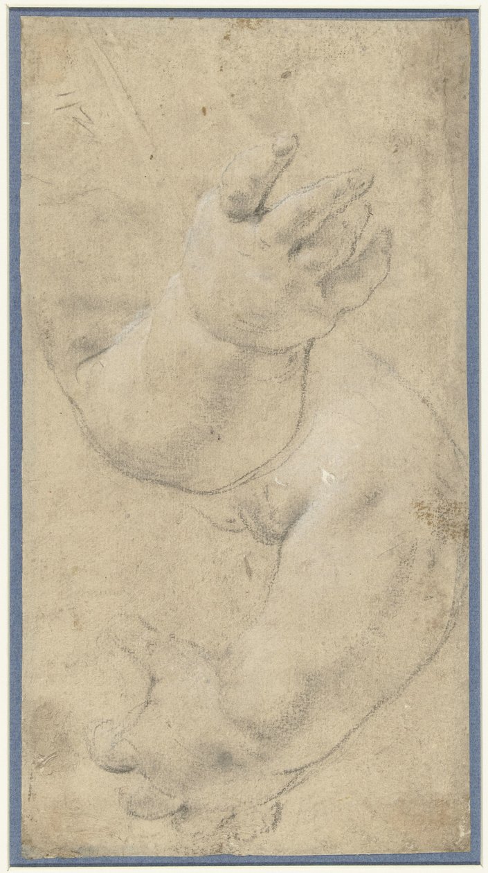 Studie av två barns armar av Domenichino