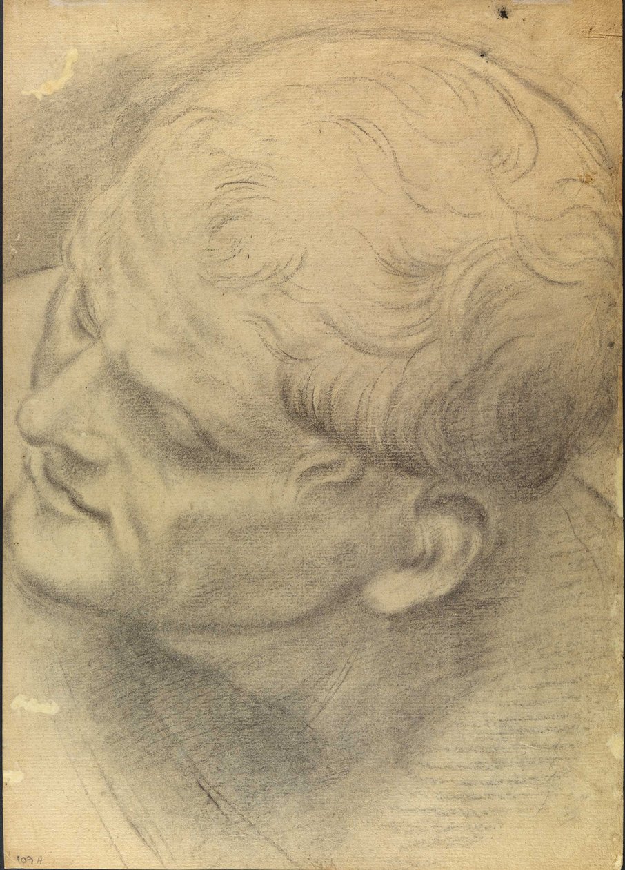 Sketch of a male head seen from above av Domenico Maria Canuti