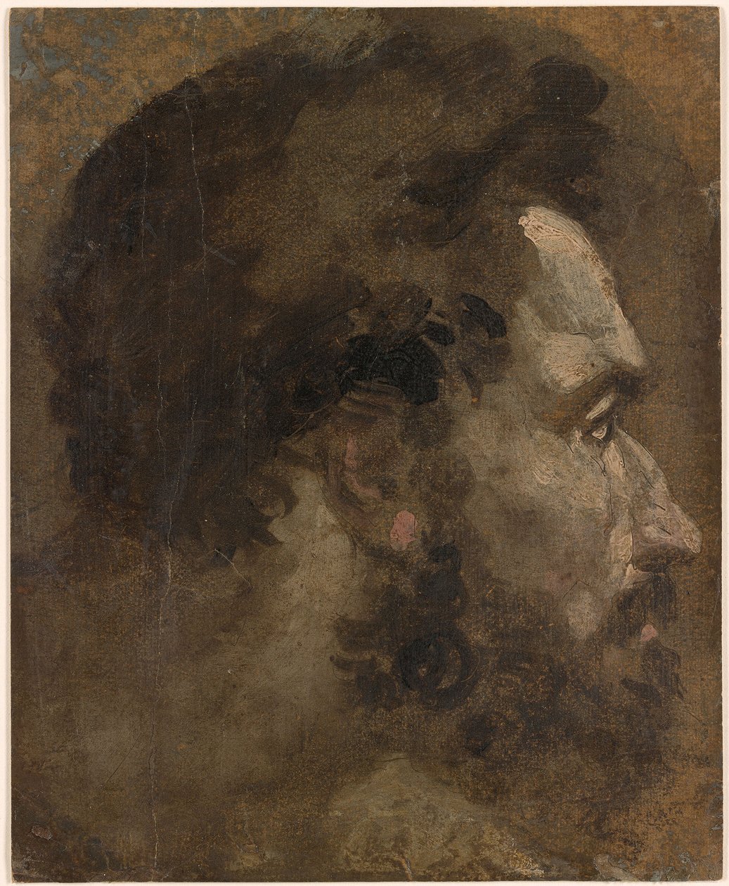 Beccafumi - Huvud av en skäggig man i profil till höger, ca 1530-1535 av Domenico Beccafumi