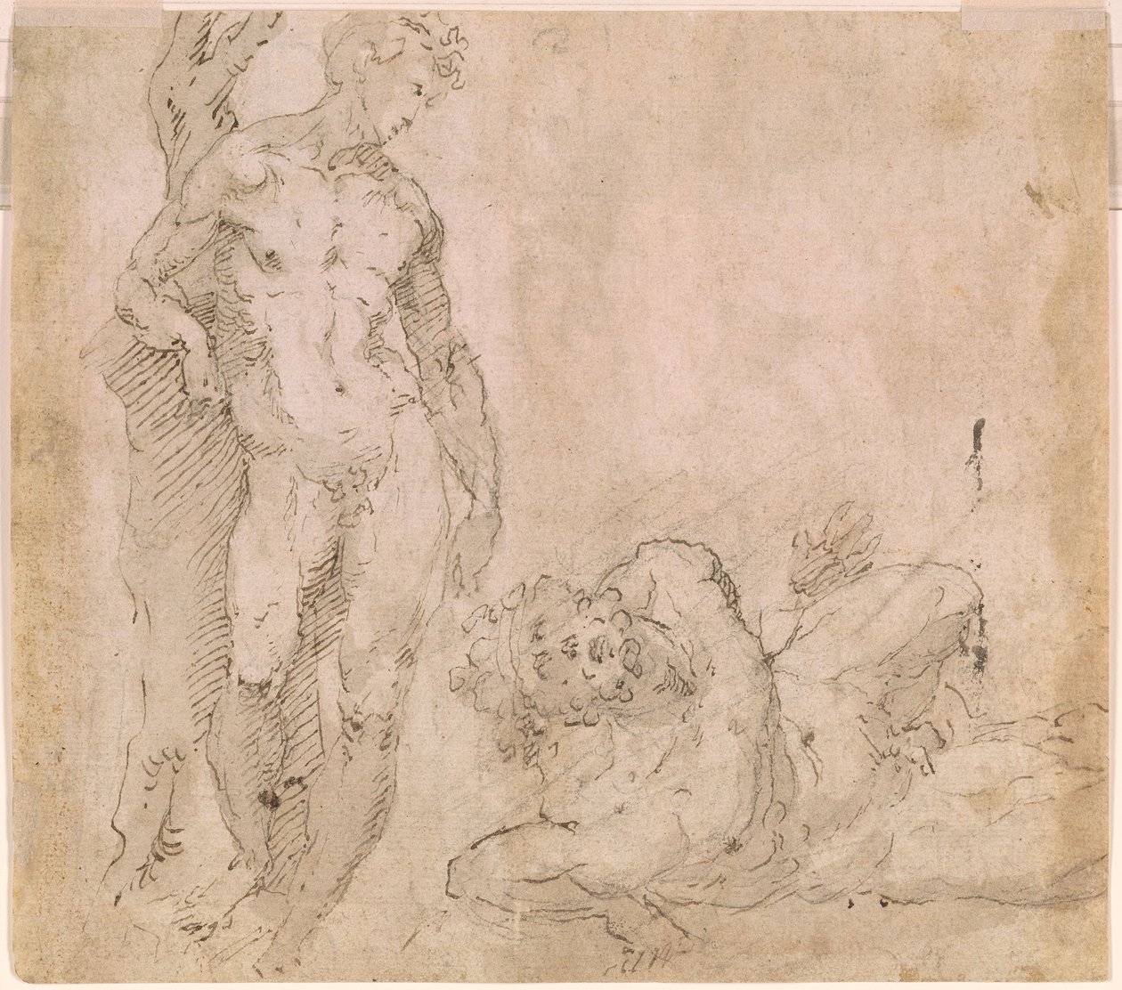 Beccafumi - Verso manlig nakenfigur lutad mot en trädstam och liggande manlig nakenfigur med bakåtkastat huvud, ca 1530-1540 av Domenico Beccafumi