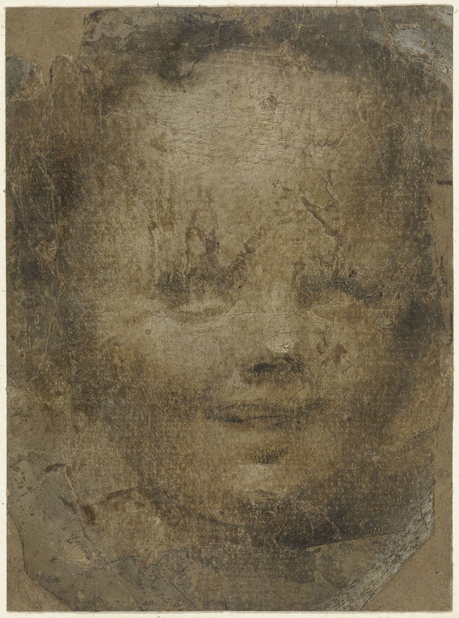 Barns huvud av Domenico Beccafumi