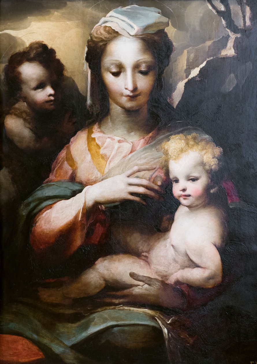 Madonna och barn med ett ungt helgon Johannes Döparen av Domenico Beccafumi