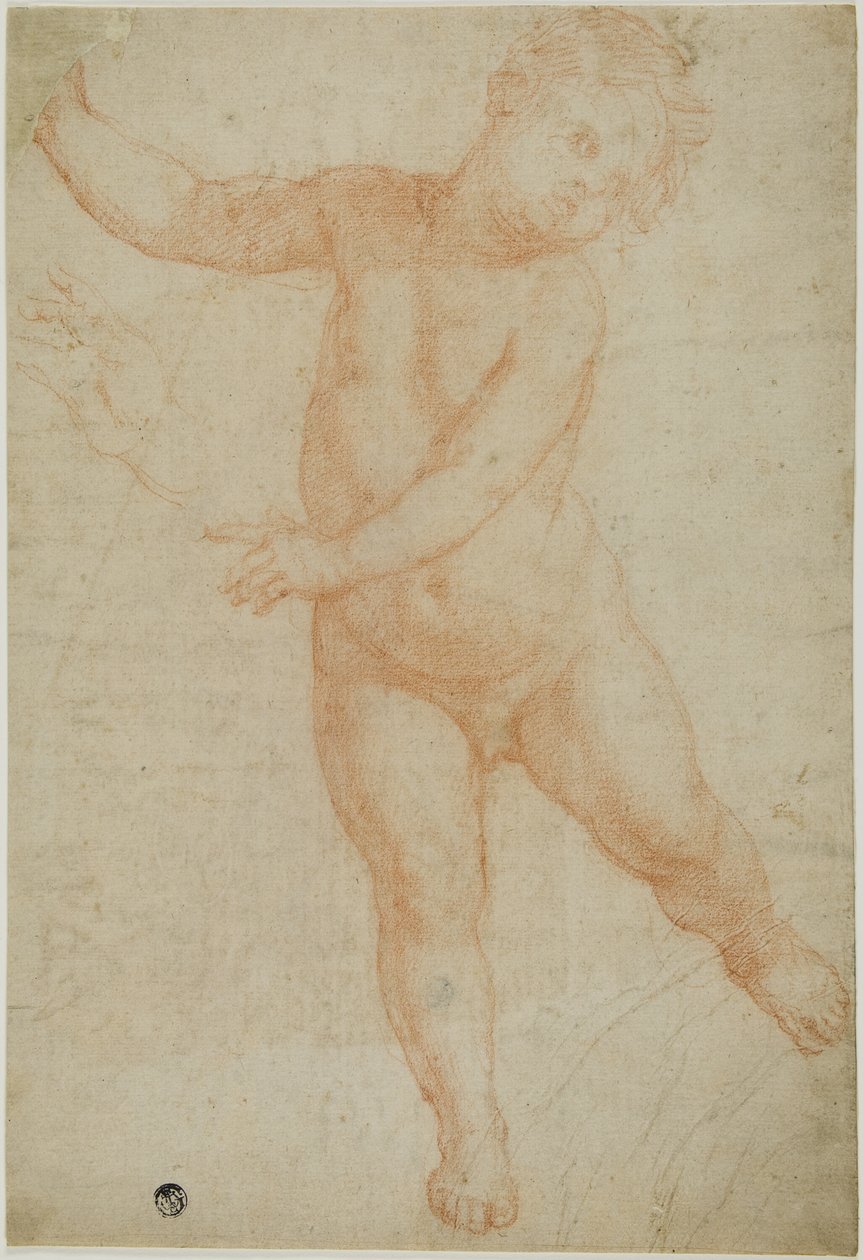 Putto poserande på höger ben (recto); Skiss av en draperad arm (verso) av Domenico Cresti