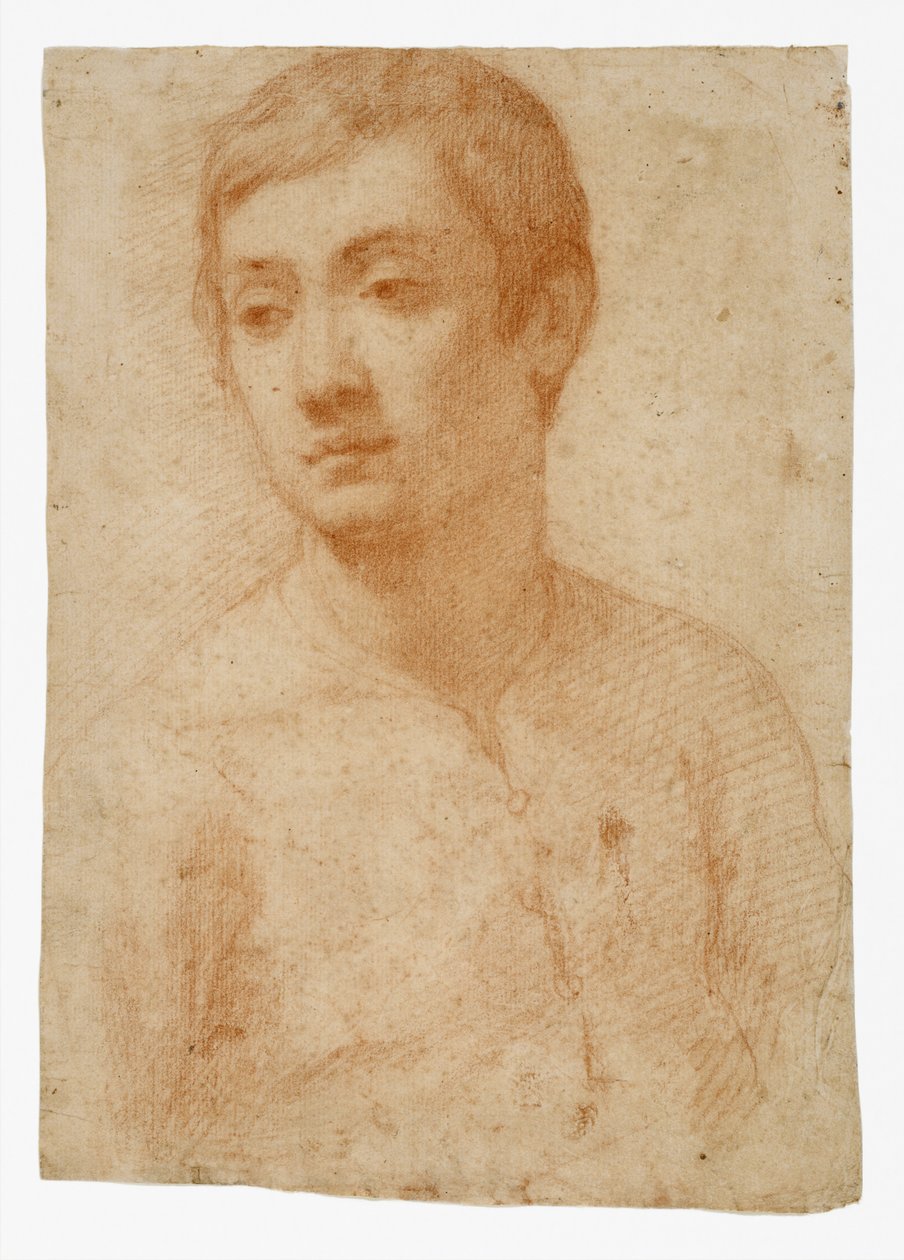 O Le Ulu o se Autalavou, c.1600-25 (sisina mumu i luga o le pepa faataatia) togi av Domenico Cresti