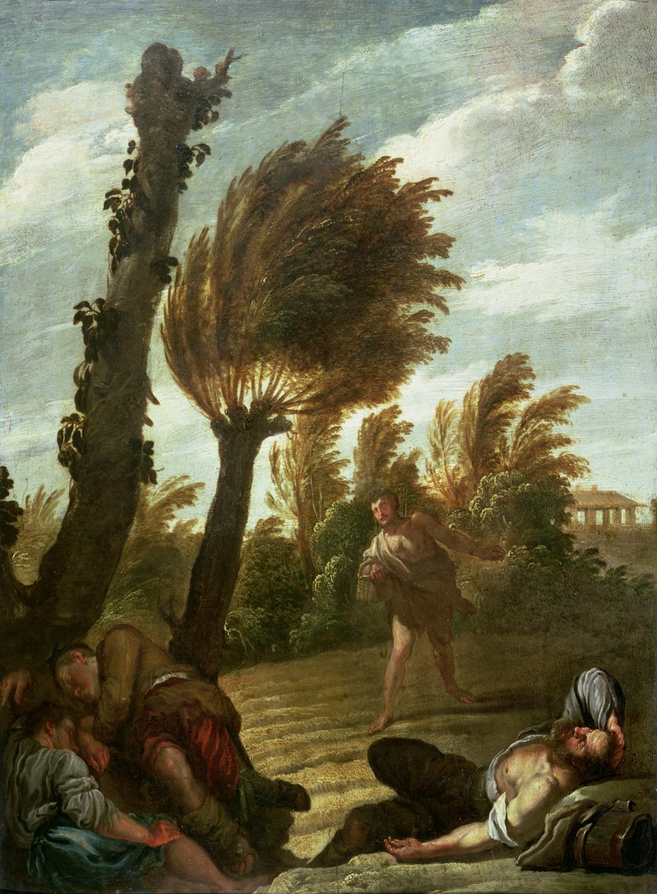 Liknelse om såaren av Tares, c.1620-21 av Domenico Fetti or Feti