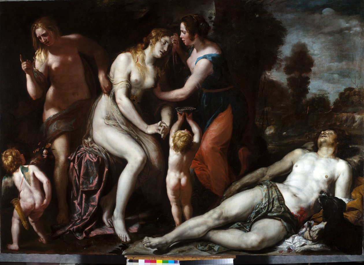 Death of Adonis (olja på duk) av Domenico Il Sarzana Fiasella