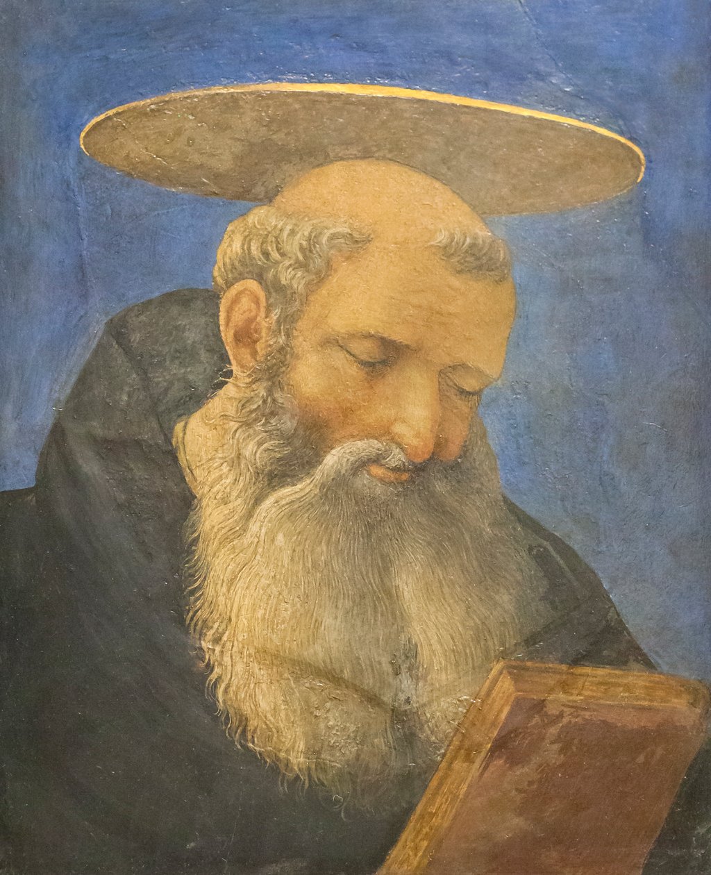 Huvud av ett tonsurerat, skäggigt helgon, ca 1440-44 (tempera på trä) av Domenico Veneziano