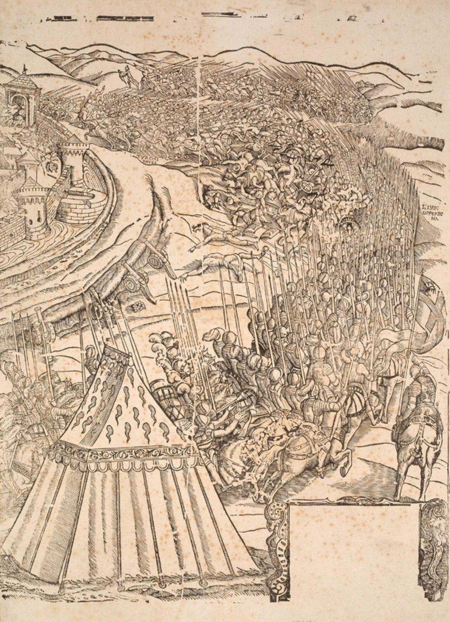 Capture of Goleta in Tunis av Carl V av Domenico dei Franceschi