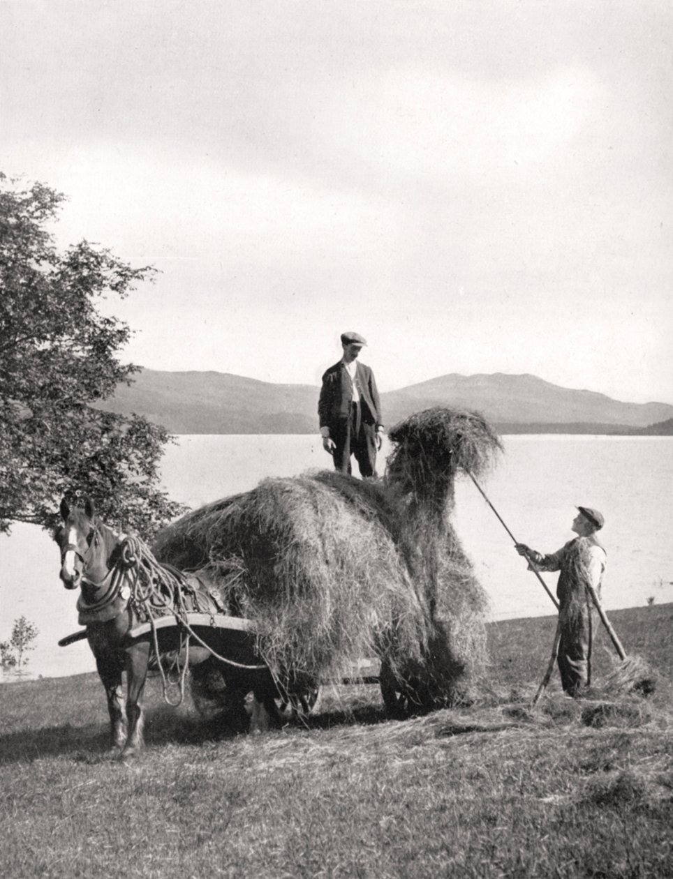 Lastar hö på en vagn på stranden av Loch Lomond, Skottland, 1924-1926. av Donald McLeish