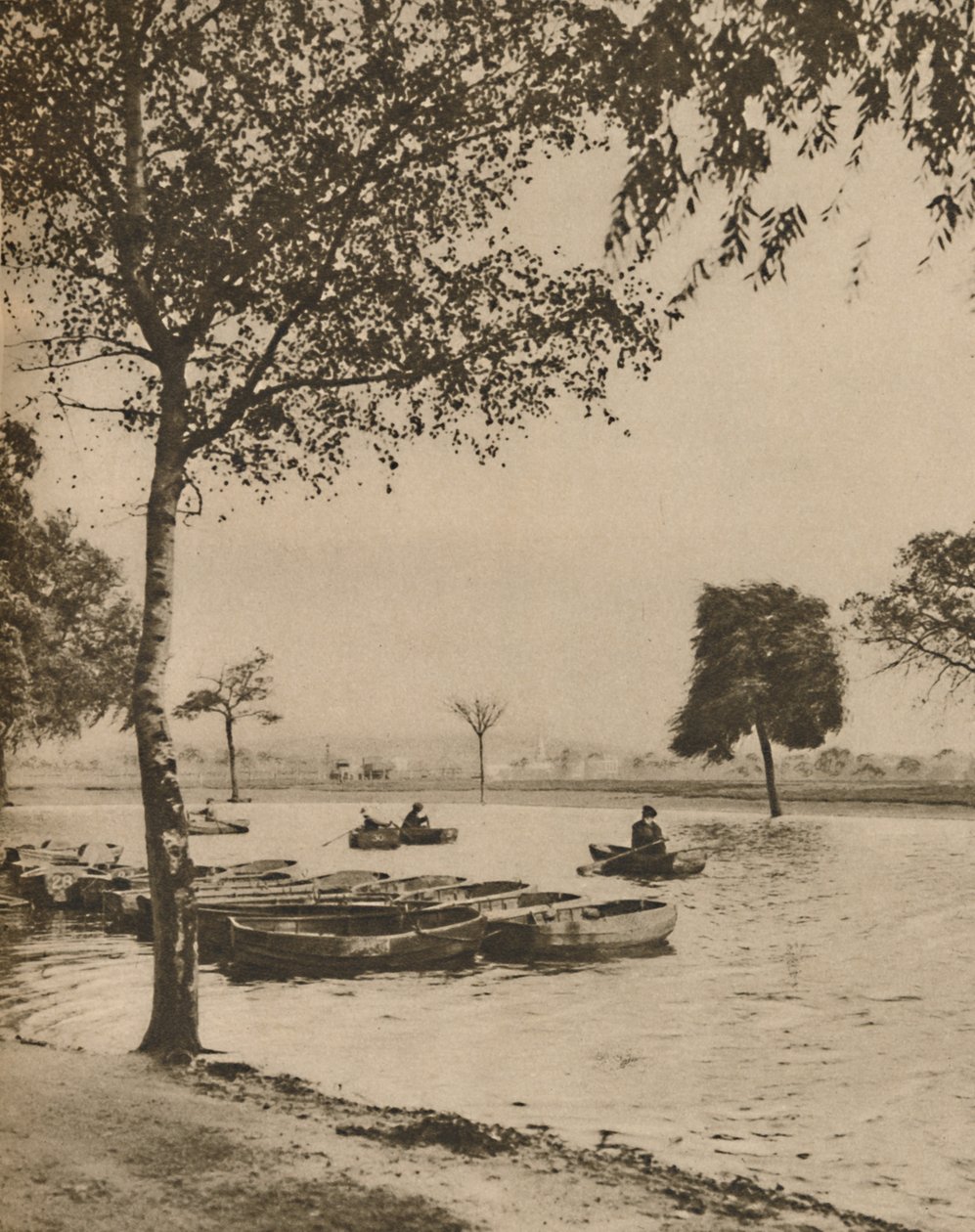 På Blackheath, Greater Londons mest historiska allmänning, c1935. av Donald McLeish