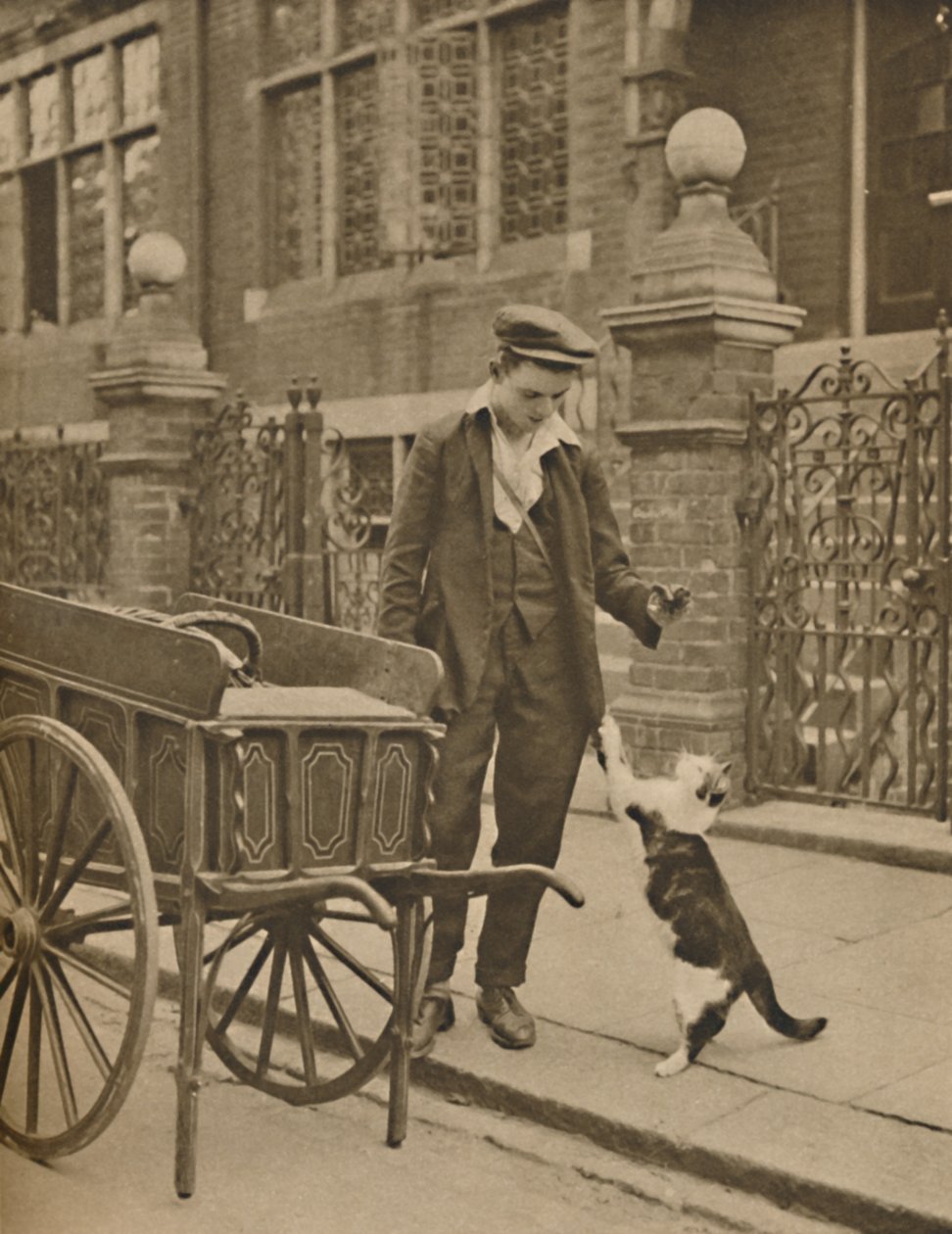 En av de bäst etablerade affärerna: A Customer and the Cats-Meat Man, c1935. av Donald McLeish