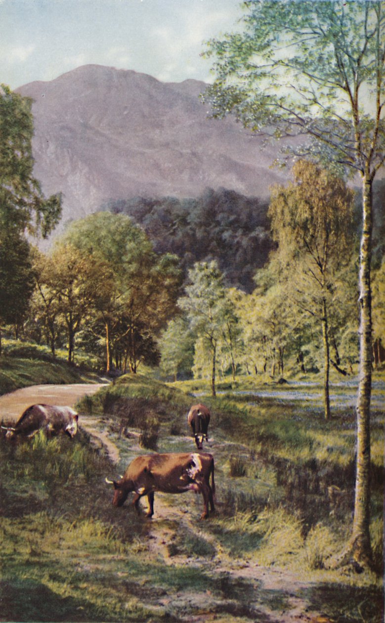 Skottland, ca 1930-talet av Donald McLeish