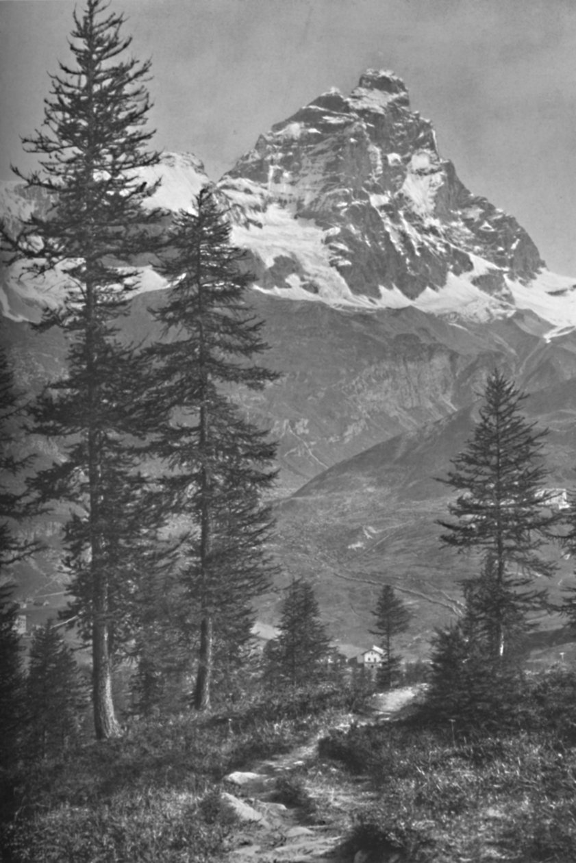 Matterhorn från den italienska sidan, Forest of Brueil, 1917 av Donald McLeish