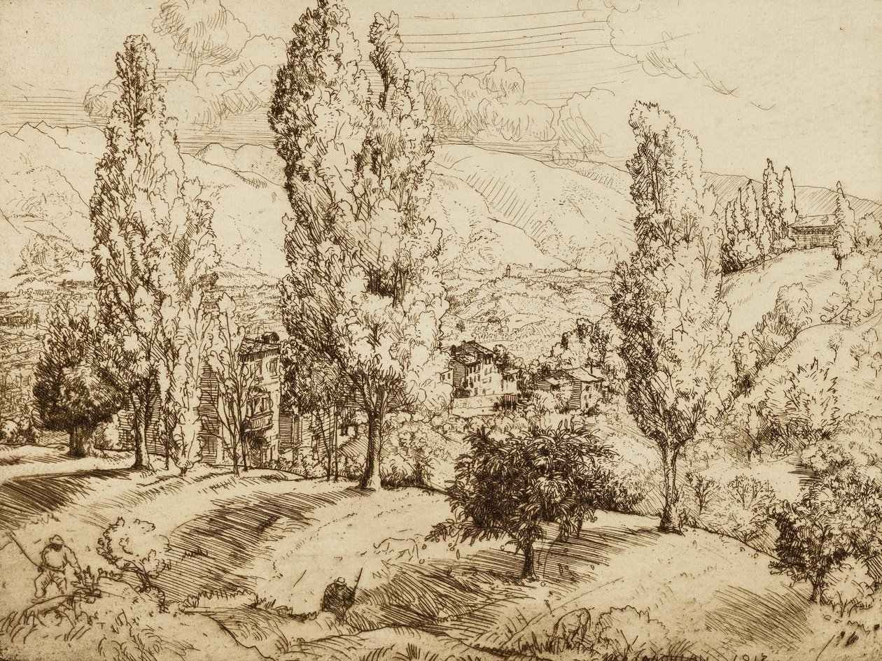 Fälten i Asolo av Donald Shaw MacLaughlan
