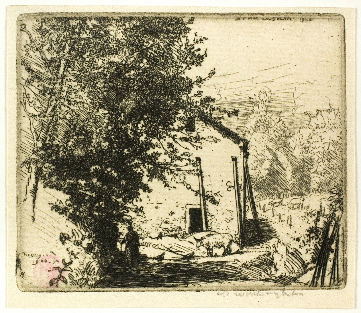 Lilla Poigny av Donald Shaw MacLaughlan