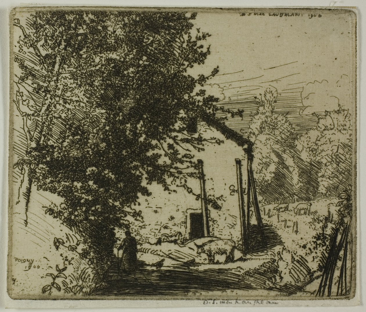 Lilla Poigny av Donald Shaw MacLaughlan