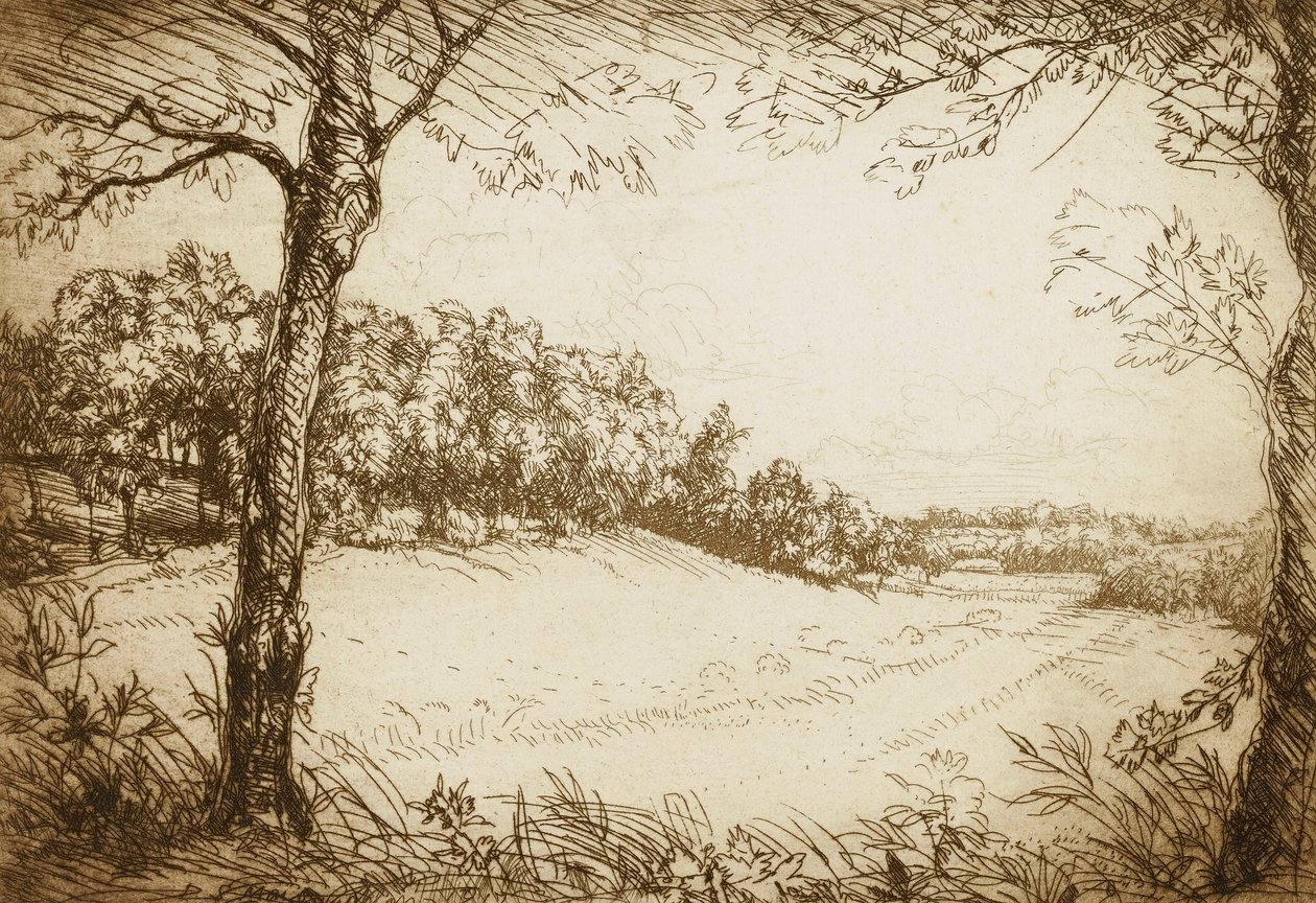 Sommarmorgon i Tennessee av Donald Shaw MacLaughlan