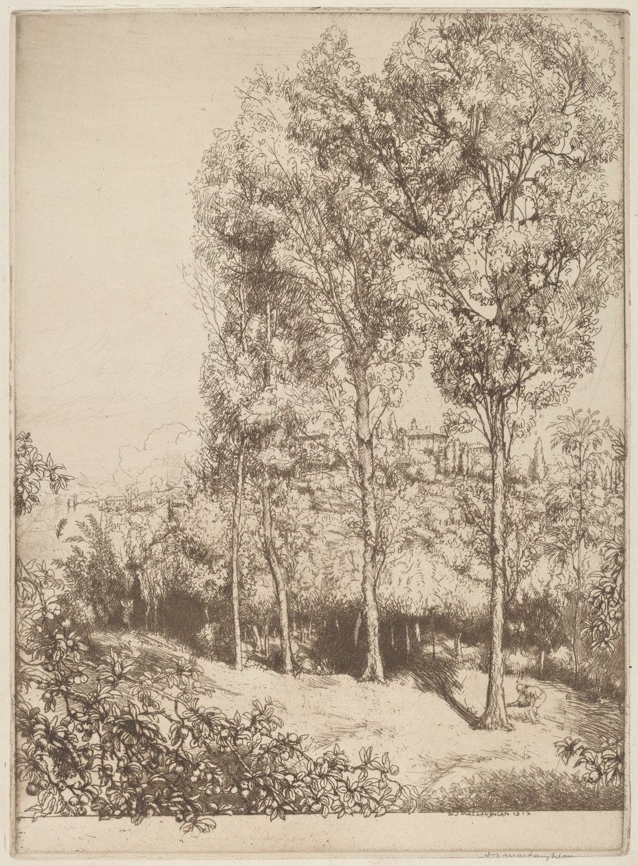 Solljus och skuggor, nr 3 av Donald Shaw MacLaughlan
