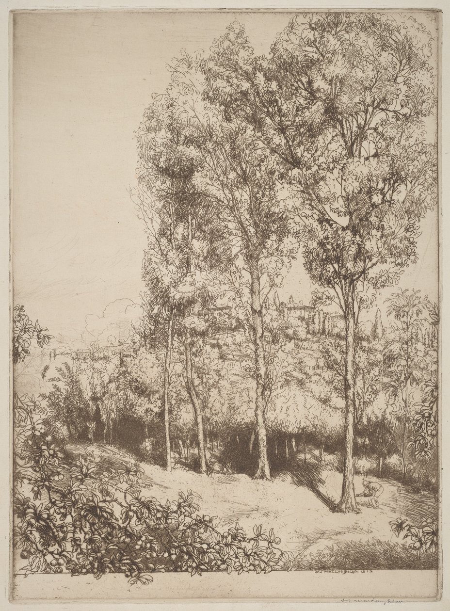 Solljus och skuggor, nr 3 av Donald Shaw MacLaughlan