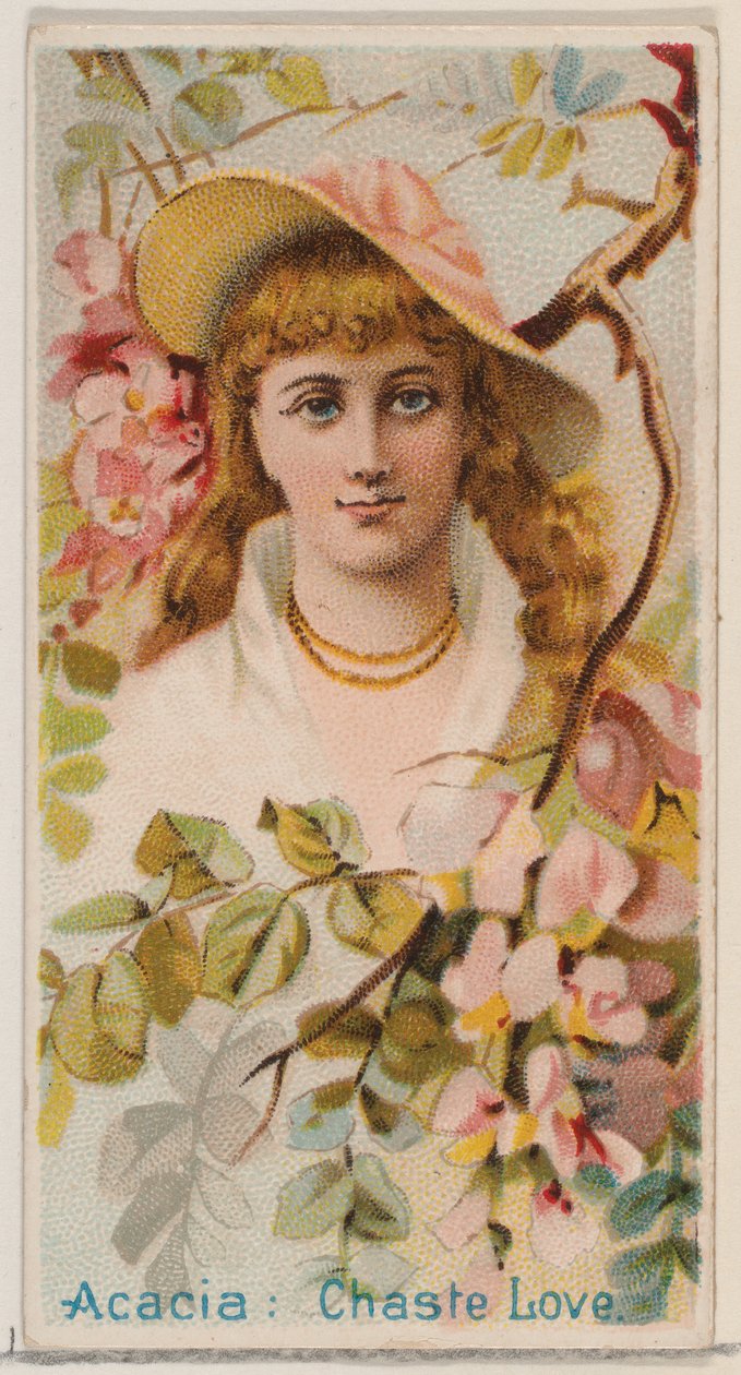 Acacia: Chaste Love, från serien Floral Beauties and Language of Flowers N75 för Duk..., 1892. av Donaldson Brothers