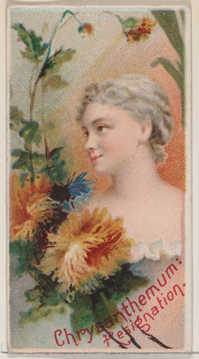 Chrysanthemum: Resignation, från serien Floral Beauties and Language of Flowers N75 ..., 1892. av Donaldson Brothers