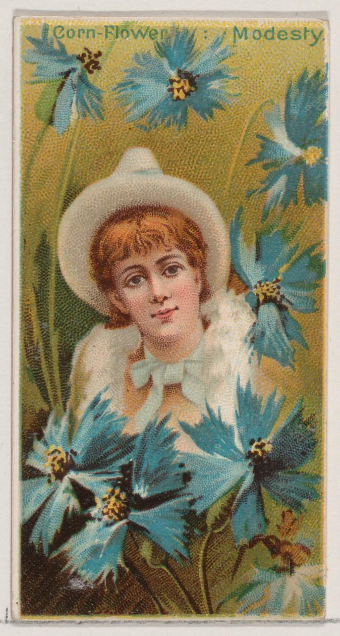 Blåklint: Modesty, från serien Floral Beauties and Language of Flowers N75 för Duk..., 1892. av Donaldson Brothers