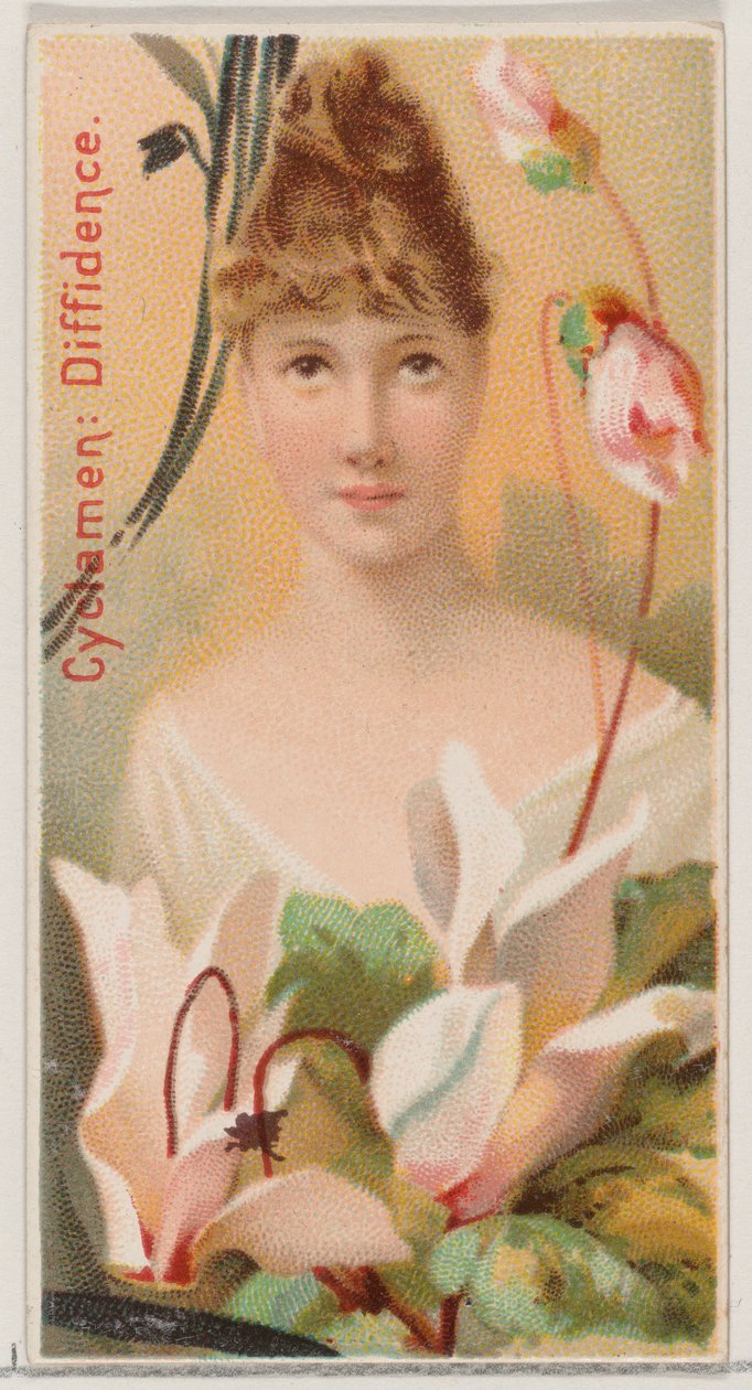 Cyclamen: Diffidence, från serien Floral Beauties and Language of Flowers N75 för Du..., 1892. av Donaldson Brothers