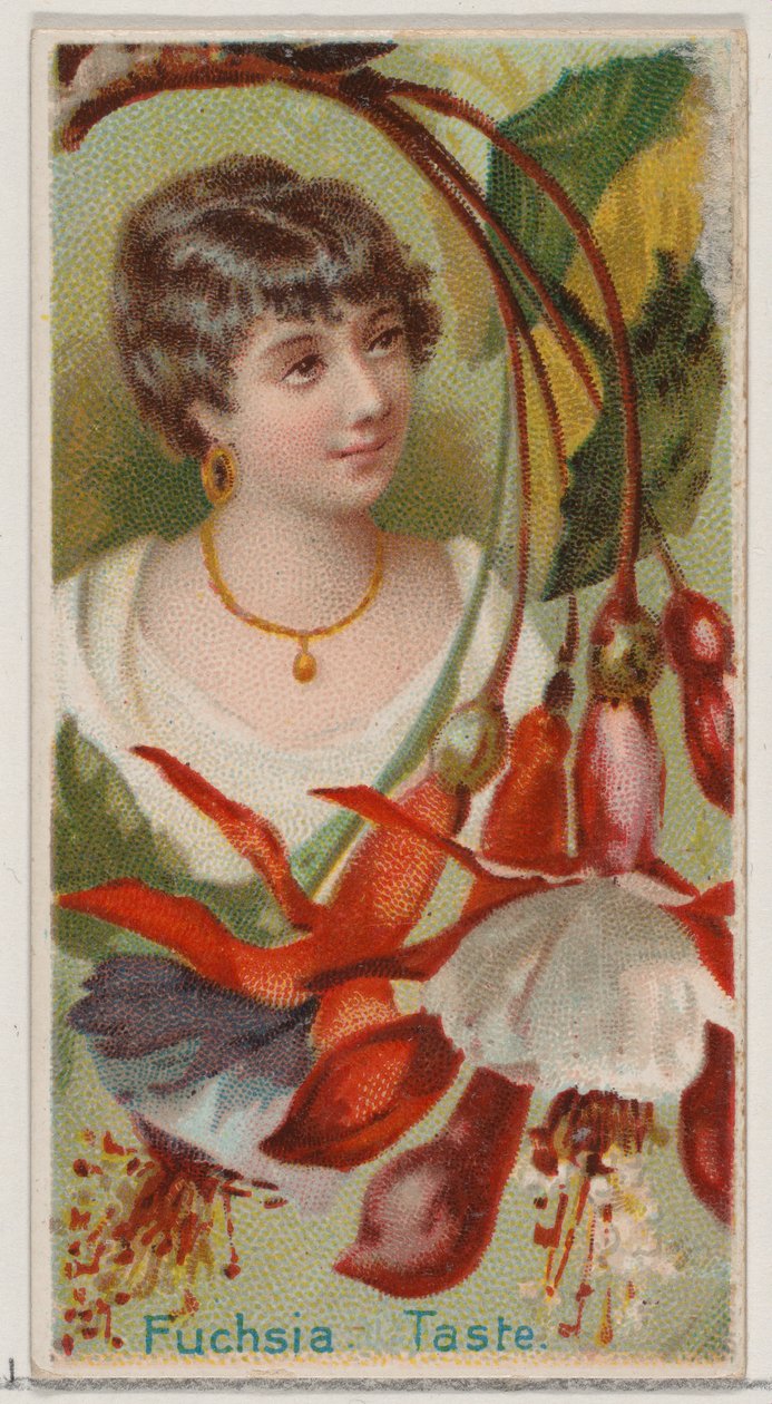Fuchsia: Taste, från serien Floral Beauties and Language of Flowers N75 för Duke bra..., 1892. av Donaldson Brothers