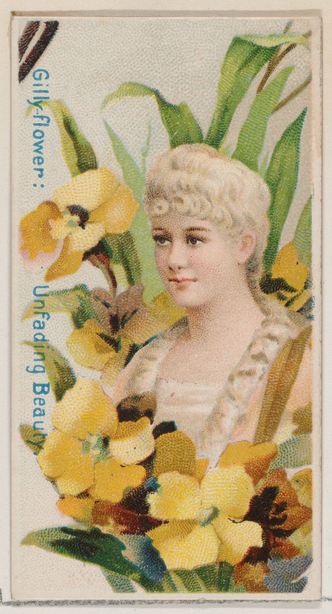 Gilly-flower: Unfading Beauty, från serien Floral Beauties and Language of Flowers N7..., 1892. av Donaldson Brothers