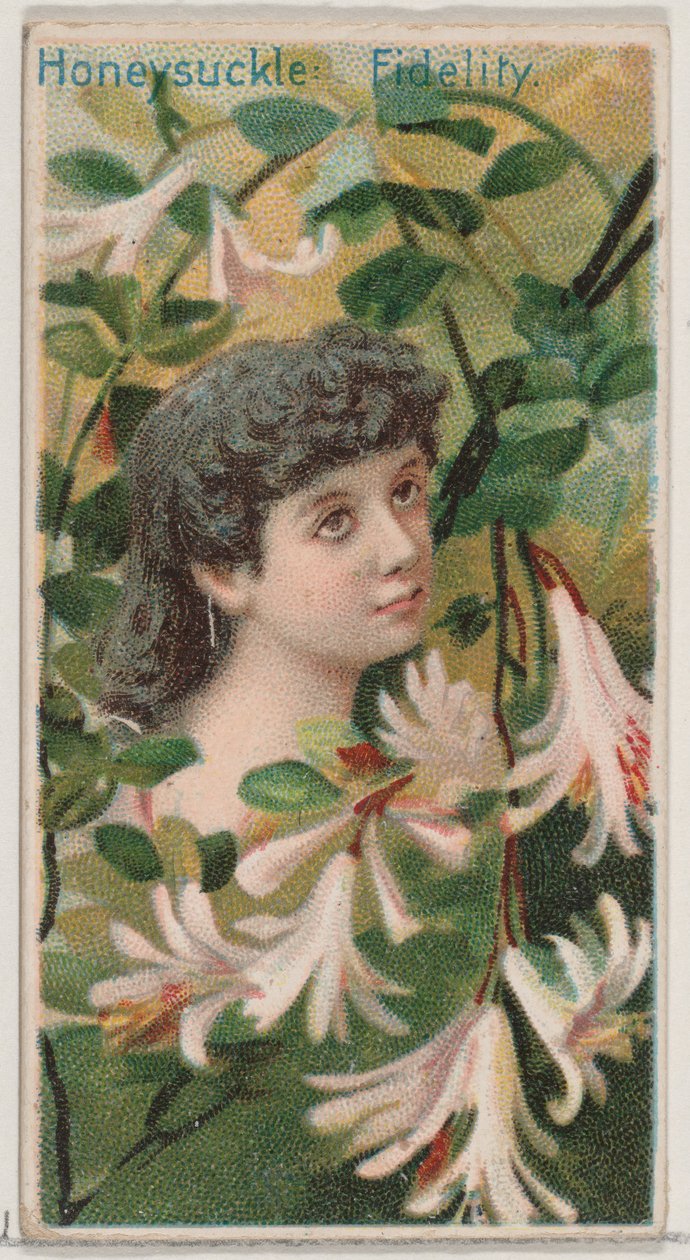 Honeysuckle: Fidelity, från serien Floral Beauties and Language of Flowers N75 för D..., 1892. av Donaldson Brothers