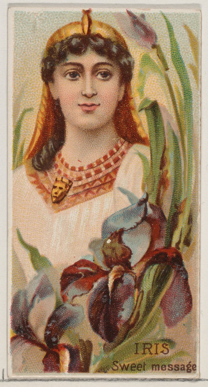 Iris: Sweet Message, från serien Floral Beauties and Language of Flowers N75 för Duk..., 1892. av Donaldson Brothers