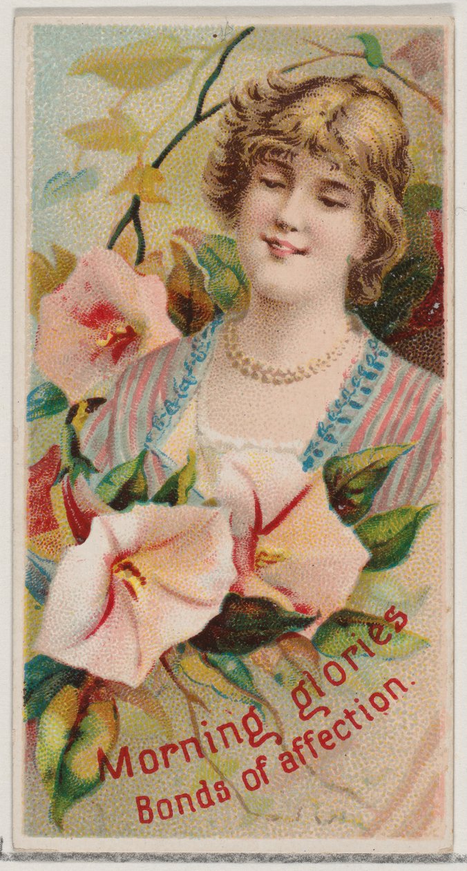 Morning Glories: Bonds of Affection, från serien Floral Beauties and Language of Flowe..., 1892. av Donaldson Brothers