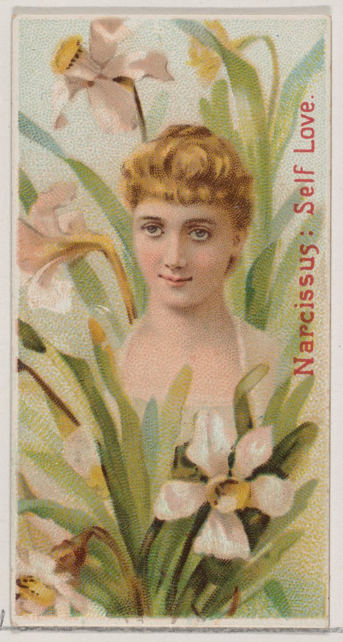Narcissus: Self Love, från serien Floral Beauties and Language of Flowers N75 för Du..., 1892. av Donaldson Brothers