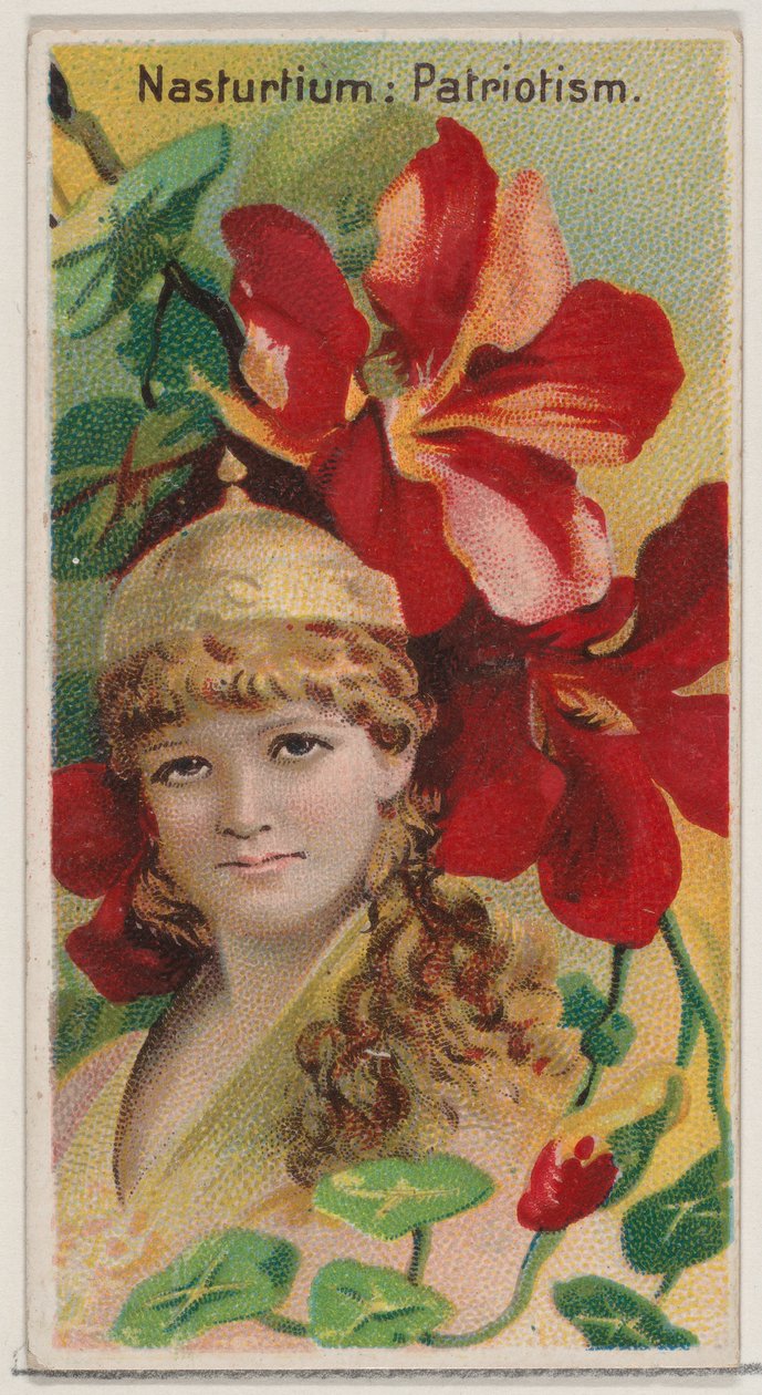 Nasturtium: Patriotism, från serien Floral Beauties and Language of Flowers N75 för ..., 1892. av Donaldson Brothers