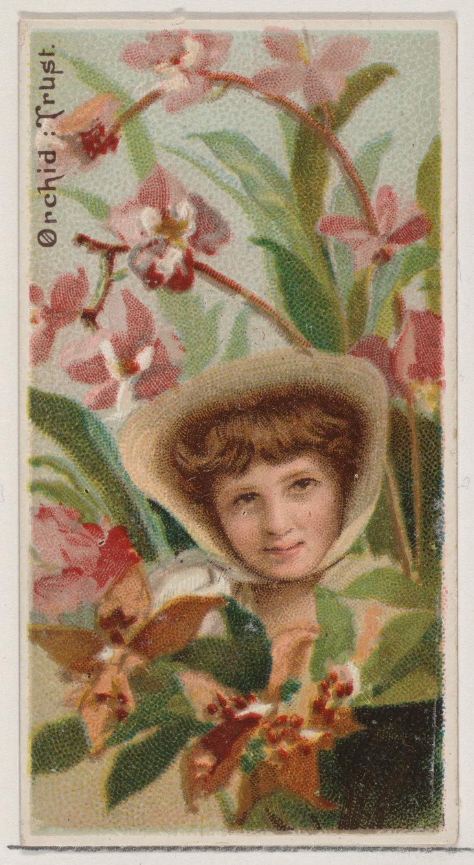 Orchid: Trust, från serien Floral Beauties and Language of Flowers N75 för Duke bran..., 1892. av Donaldson Brothers