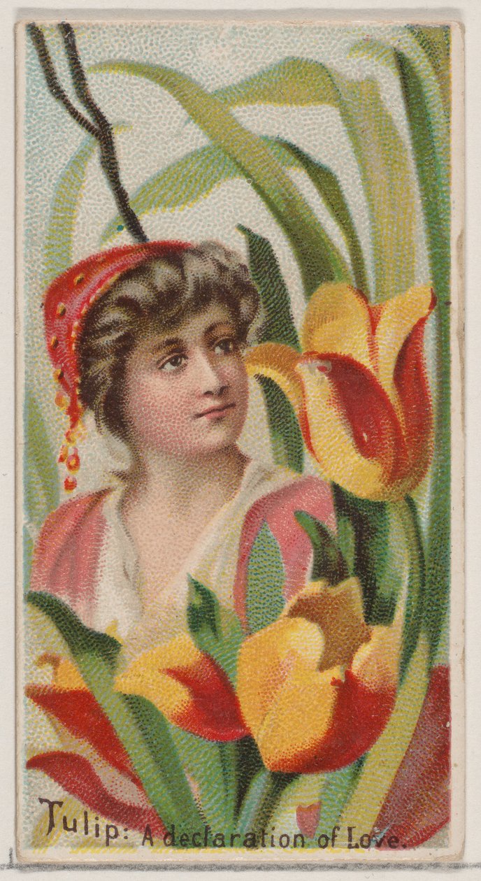 Tulip: A Declaration of Love, från serien Floral Beauties and Language of Flowers N75..., 1892. av Donaldson Brothers