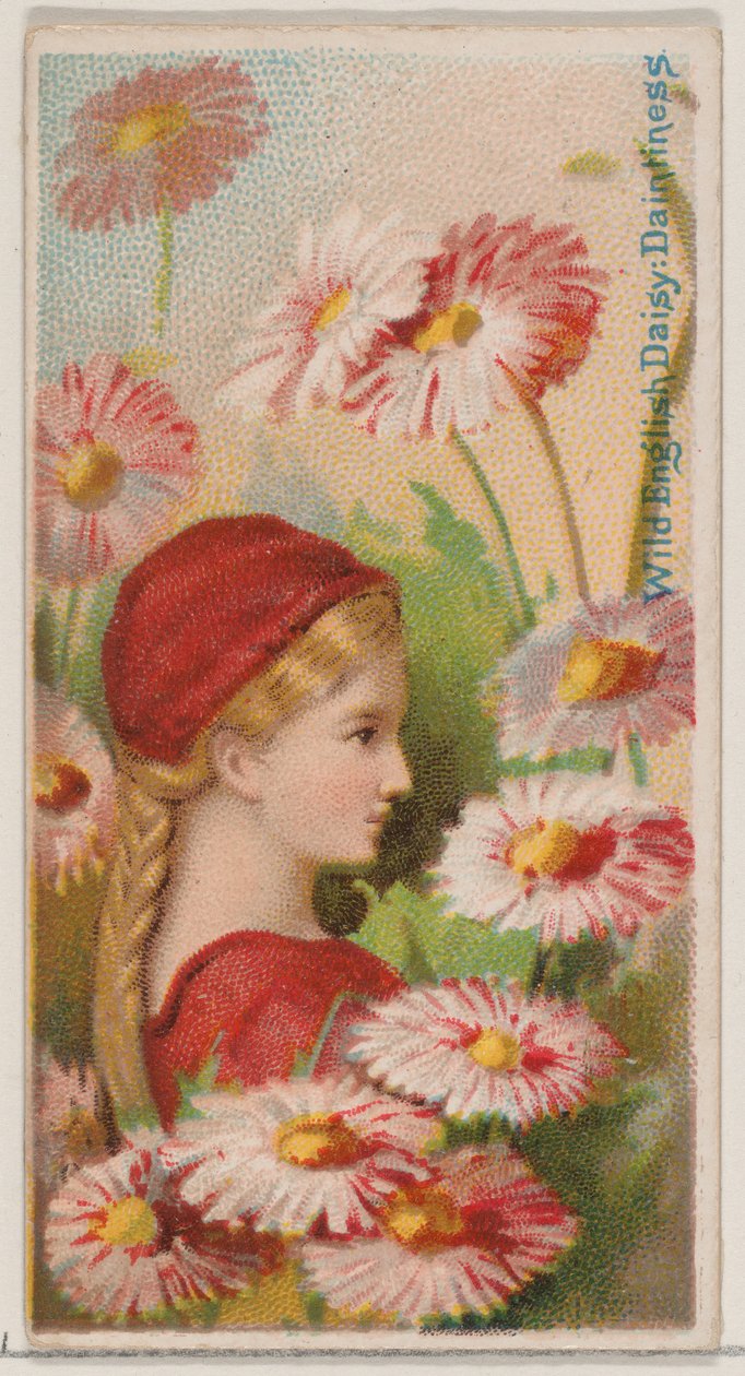 Wild English Daisy: Daintiness, från serien Floral Beauties and Language of Flowers N..., 1892. av Donaldson Brothers