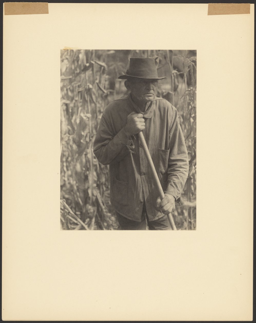 [Man med hacka i Sorghum Patch] av Doris Ulmann
