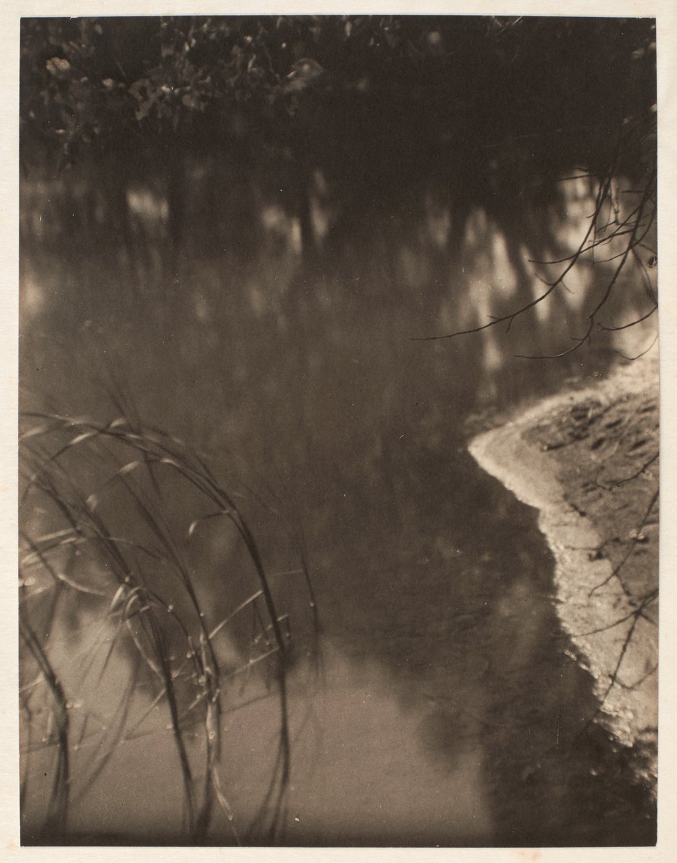 Studie av träd som speglar sig i vatten, ca 1925-34 (platinatryck) av Doris Ulmann