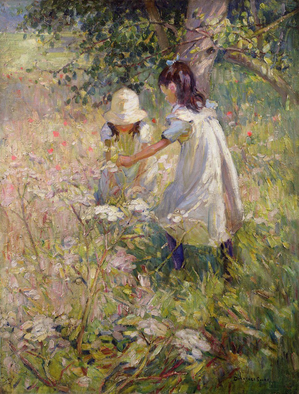  av Dorothea Sharp