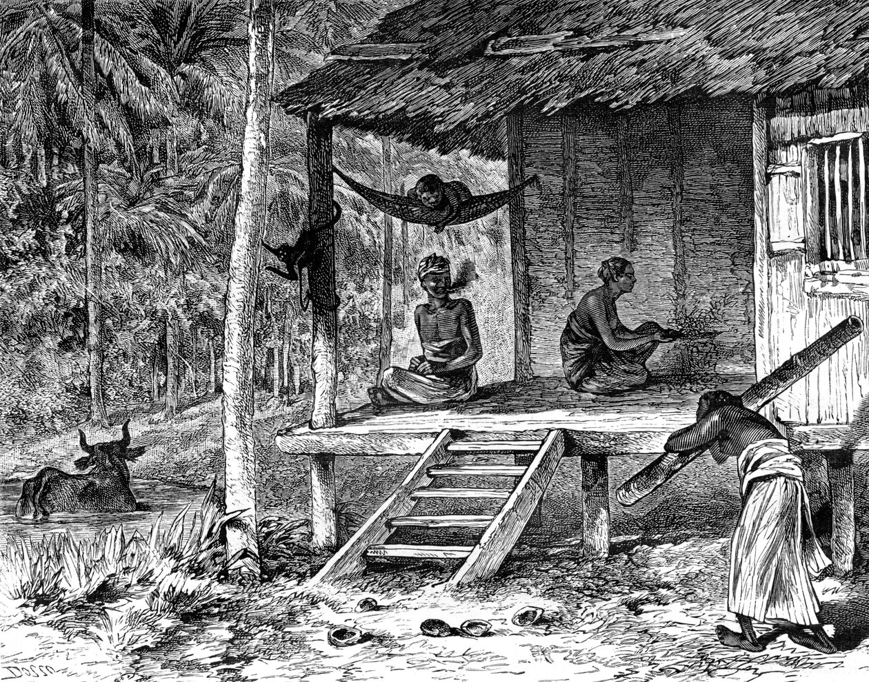 Malaysisk hydda, 1800-talet av Dosso