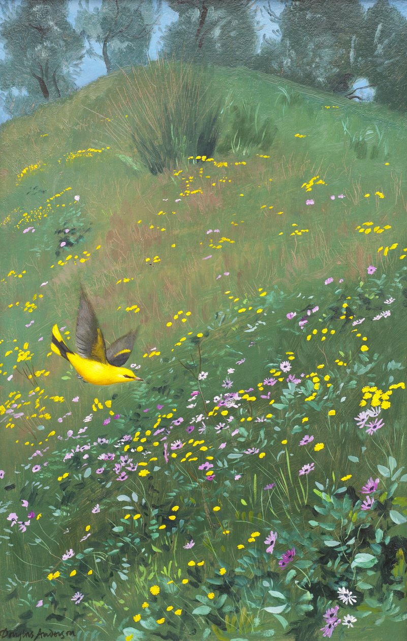 Gyllene Oriel i vårblommor av Douglas Anderson