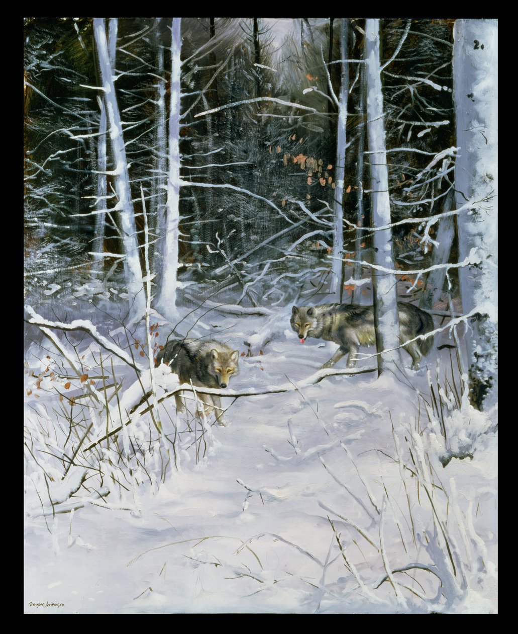 Vargar i en snöig skog av Douglas Anderson