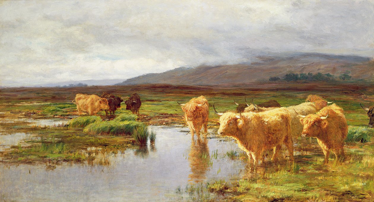 Moorlands och Mist av Duncan McLaurin